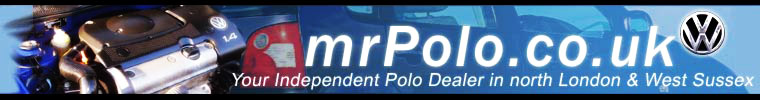 Mr Polo logo & website header